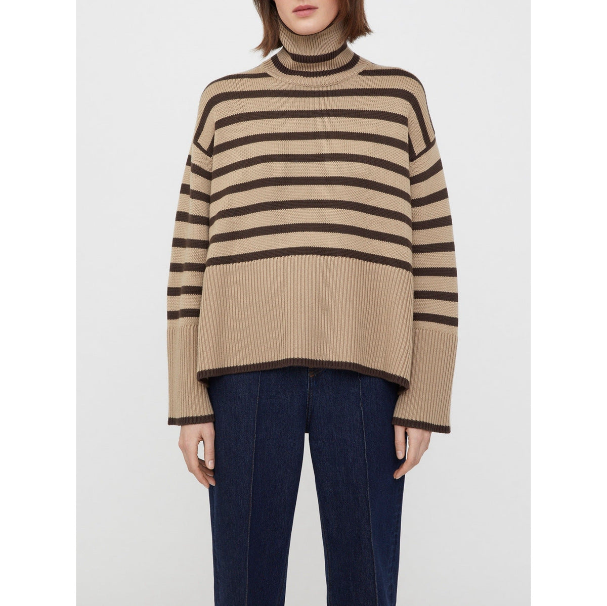 Turtleneck Striped Sweater